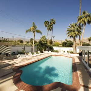Sunny backyard with a swimming pool and palm trees.